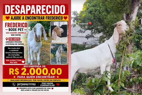 Onde está Frederico Tutora oferece recompensa para encontrar bode