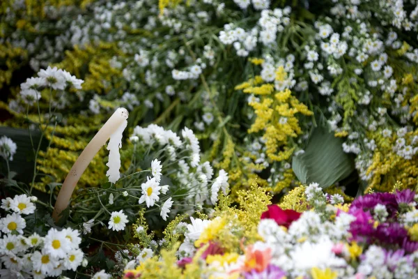Coroa de flores