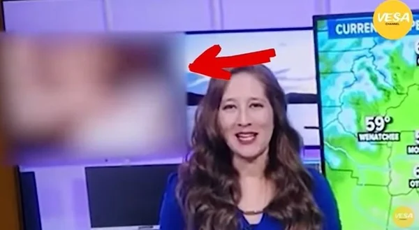 Jornal exibe filme pornô no lugar de previsão do tempo. Veja vídeo