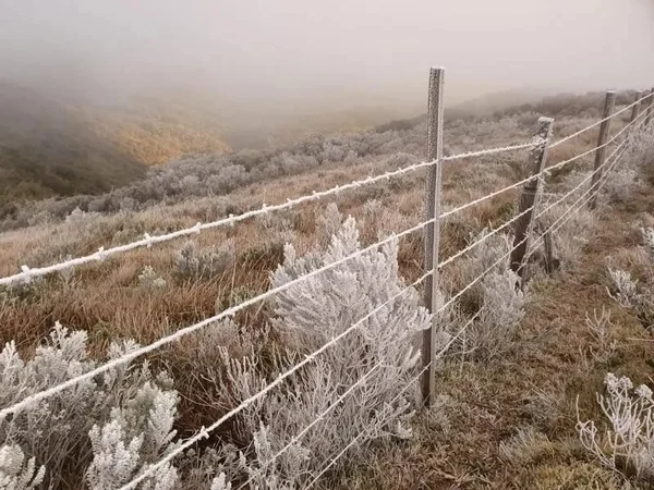 Após nevar, SC amanhece com temperaturas de até -5,9ºC; veja fotos