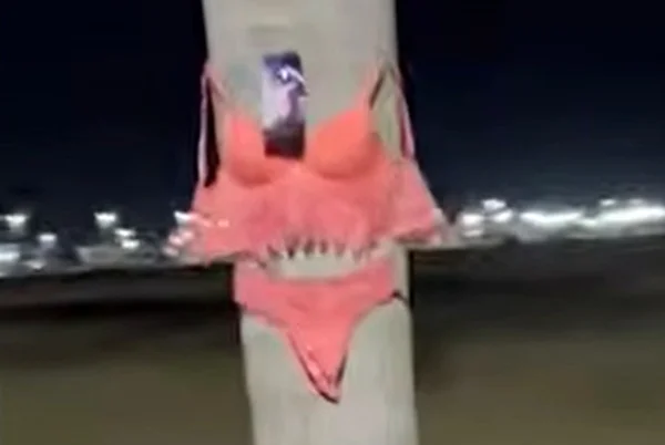Lingeries em árvore: Polícia pede imagens de câmeras de segurança