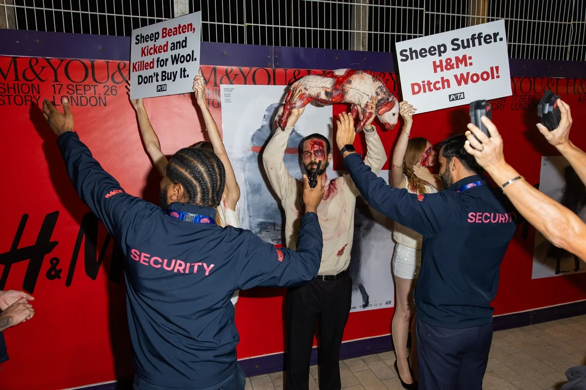 Protesto da organização em frente ao desfile da H&M na London Fashion Week, realizado na Olympia London, em 17 de setembro de 2026 Protesto da organização em frente ao desfile da H&M na London Fashion Week, realizado na Olympia London, em 17 de setembro de 2026