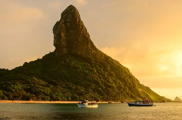Projeto Noronha Verde