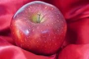 A maçã é uma fruta com alto teor de antioxidantes A maçã é uma fruta com alto teor de antioxidantes