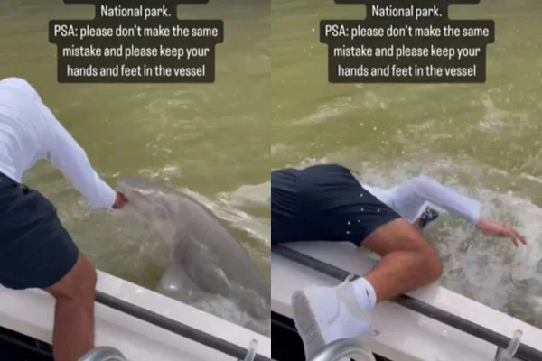 ataque tubarão pescador parque flórida