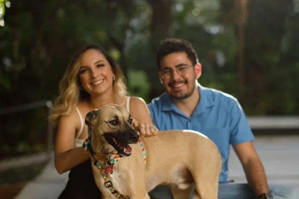 A transformação de Chico: abandonado na rua, cãozinho ganha amor e lar
