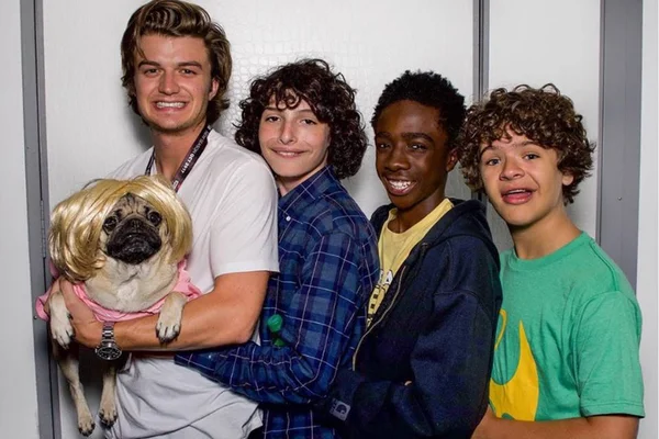 Deu like! Conheça 10 pets famosos do Instagram