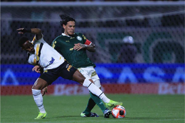 palmeiras-43