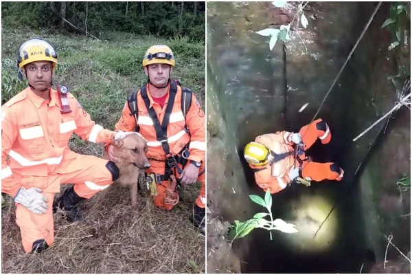 Imagem colorida mostra resgate de cachorro que caiu em buraco em poços de caldas MG - metrópoles