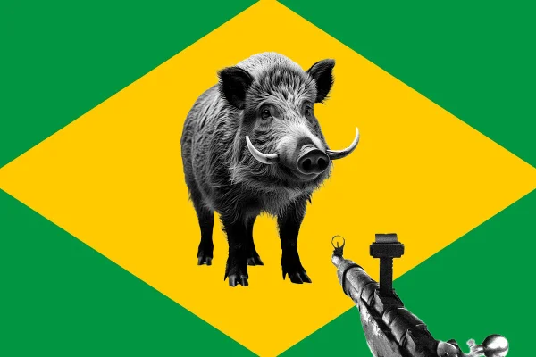 Imagem colorida - Caça no Brasil: o que é permitido e quais são as punições? Saiba mais