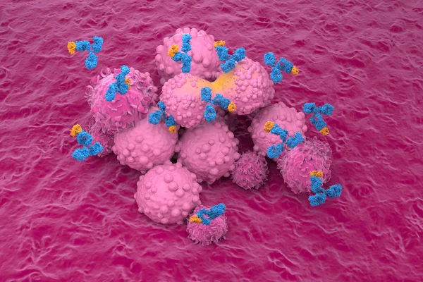 Ilustração da terapia com anticorpos monoclonais (azul e laranja) para câncer de mama. Anticorpos monoclonais (mAbs) são proteínas secretadas por uma linhagem clonada de células geneticamente modificadas para responder a um alvo específico. Câncer. Metrópoles