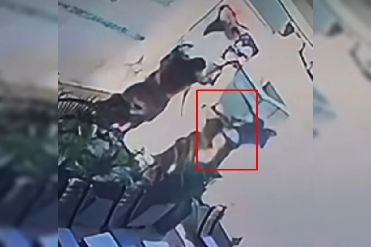 Momento em que a menina é agredida Momento em que a menina é agredida