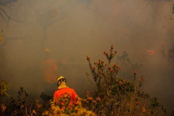 Em Planaltina, área de cerrado próxima ao Vale do Amanhecer pega fogo