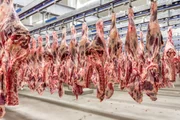 Carne em frigorífico Carne em frigorífico