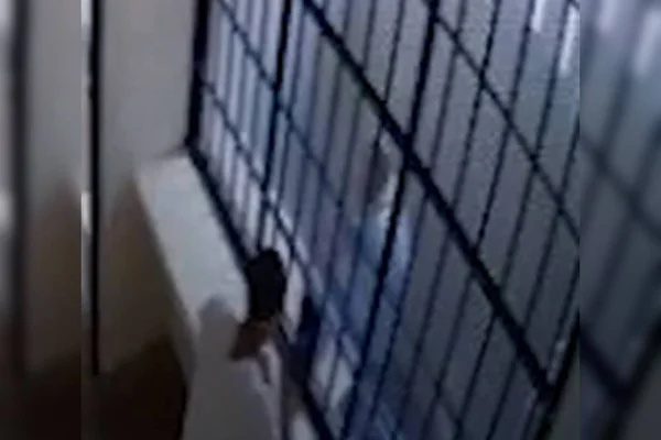 Vídeo. Veja momento em que advogado do Comboio do Cão esconde maconha