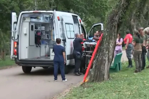 Mulher de 57 anos sofreu um traumatismo cranioencefálico e teve uma contusão no ombro. Causas do acidente ainda são apuradas - Metrópoles
