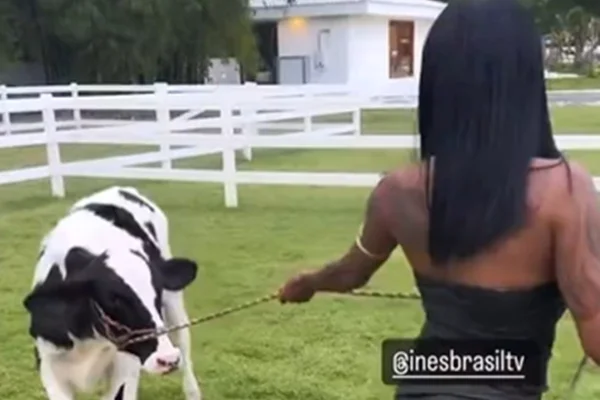 Foto colorida de Inês Brasil e uma vaca - Metrópoles
