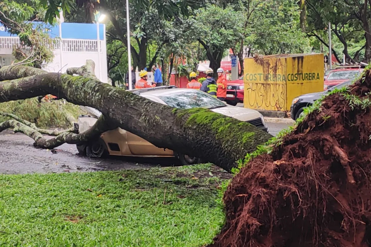 Um passageiro estava dentro do veículo na hora do incidente Um passageiro estava dentro do veículo na hora do incidente
