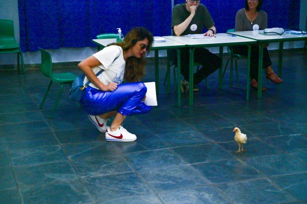 Rafa Brites encontra galinha na seção eleitoral - Metrópoles