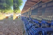 Vigilância faz fiscalização em colégio após criança ser picada por escorpião