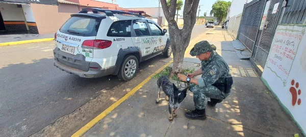 foto colorida de cadela encontrada com sinais de maus-tratos e abandono em sítio de Rosana (SP), ao lado de policial ambiental - Metrópoles