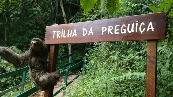 Foto colorida da Trilha da Preguiça, no Parque Municipal Fazenda do Carmo - Metrópoles