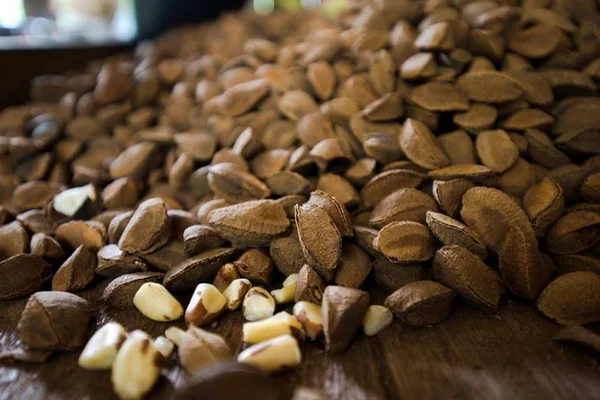 Gorduras do bem: o que são e qual sua importância para a saúde