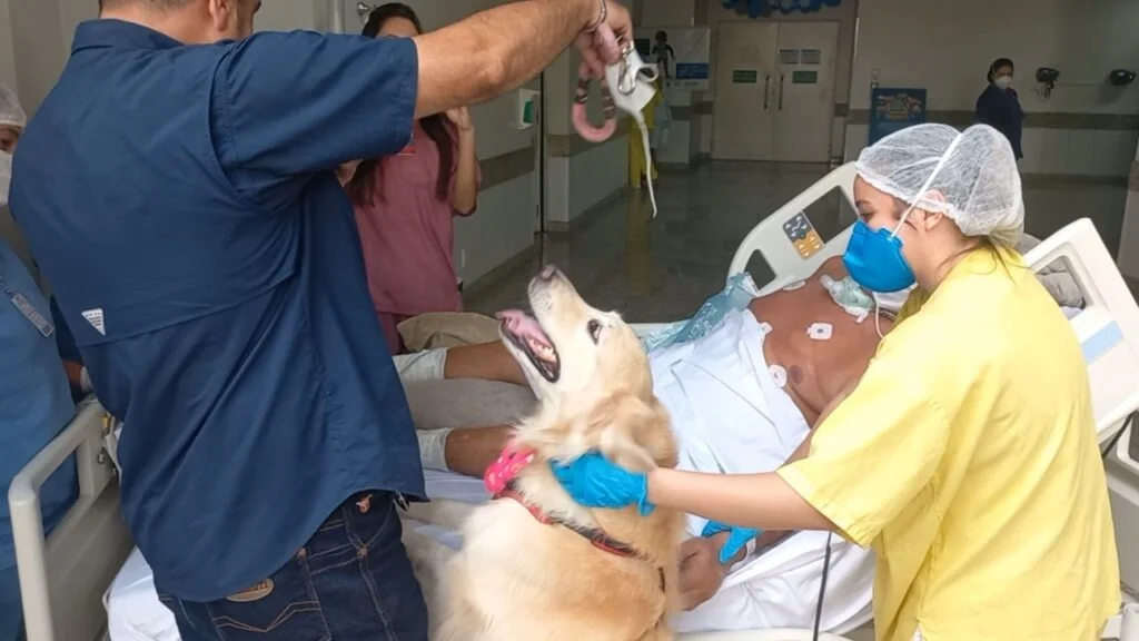 Terapia animal: pacientes recebem visitas de pets em Aparecida (GO) - imagem 3 Terapia animal: pacientes recebem visitas de pets em Aparecida (GO) - imagem 3