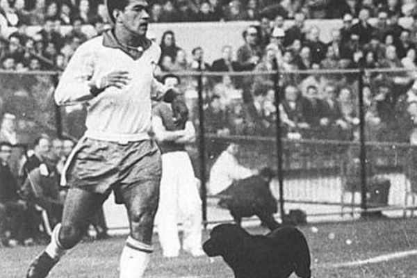 Garrincha e o cachorro Bi durante a Copa do Mundo de 1962