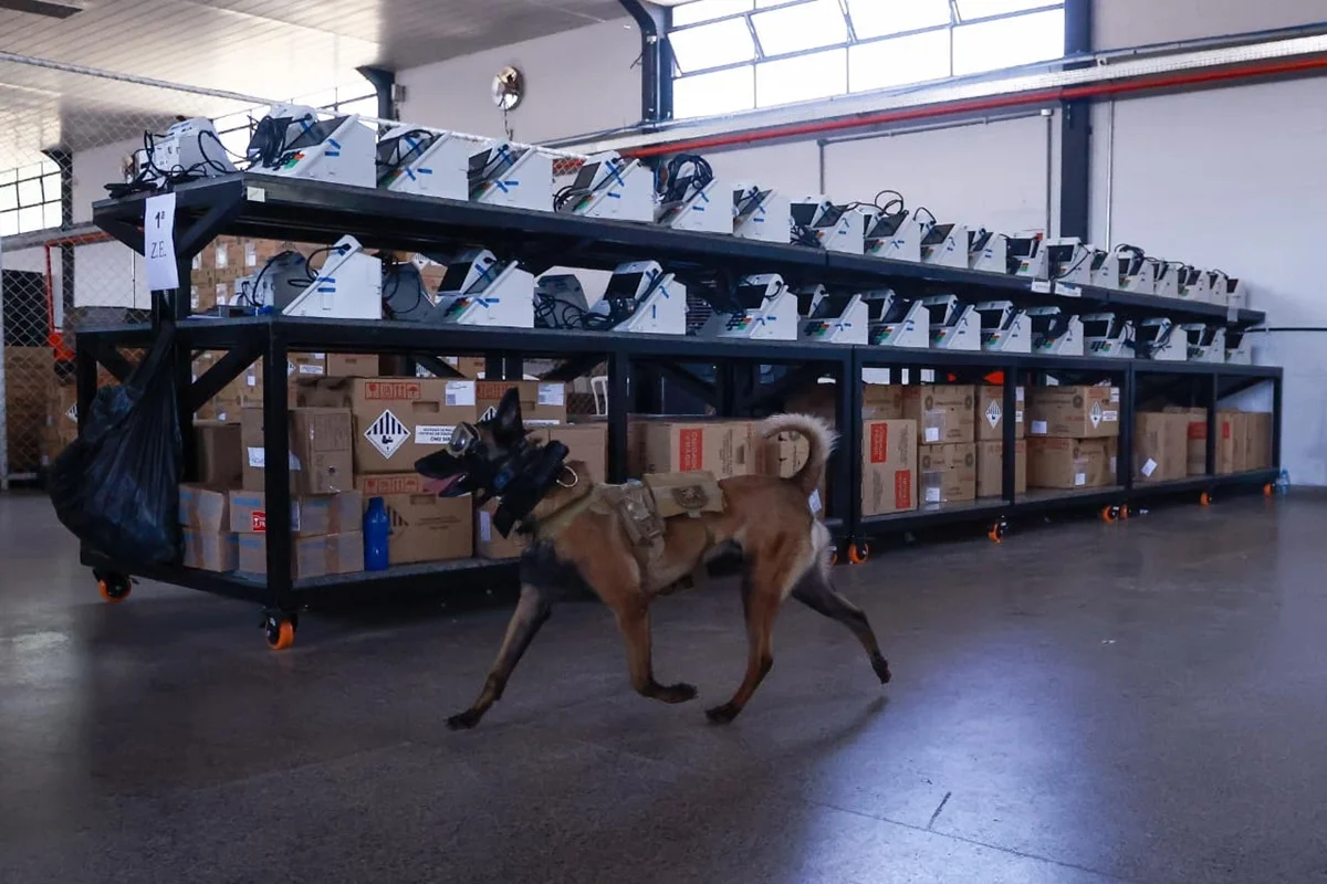 Cães farejadores da PMDF vistoriam urnas eletrônicas a 5 dias do 2° turno - imagem 5 Cães farejadores da PMDF vistoriam urnas eletrônicas a 5 dias do 2° turno - imagem 5