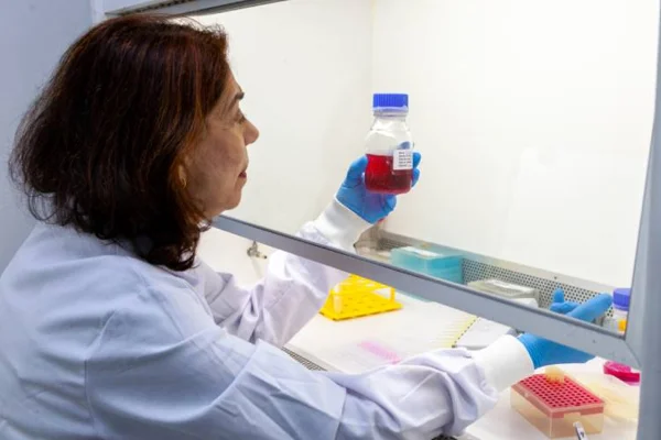 Técnicas de engenharia genética tem como objetivo aumentar o tempo de duração do anticorpo no organismo para a proteção durante a gravidez