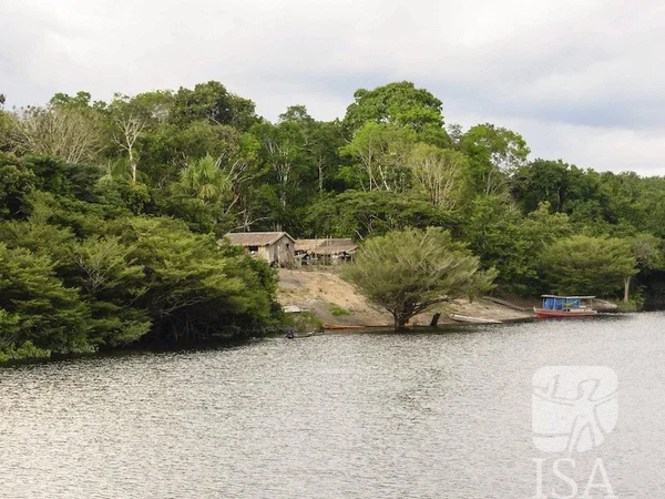 Margem do Rio Branco, em Roraima