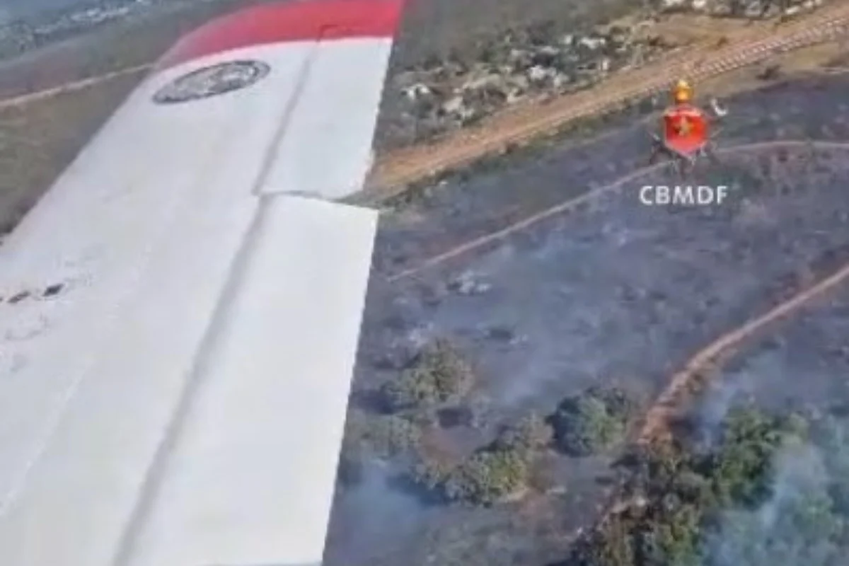 Incêndio de grande proporção atinge reserva do Zoológico de Brasília