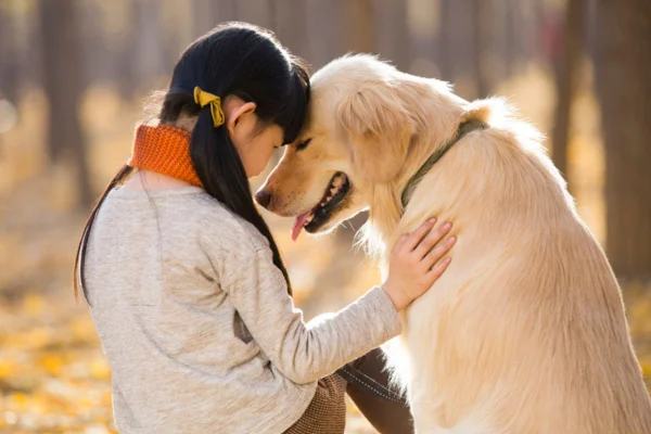 Imagem colorida de menina tocando um golden retriever, sentados no chão