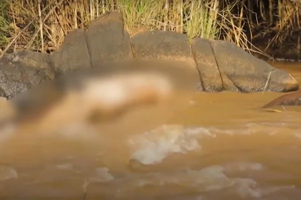 Quênia guarda o mistério dos corpos encontrados no rio Yala