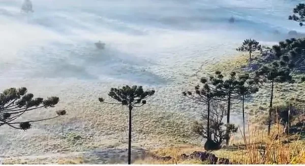Vídeo: geada volta a cobrir campos na Serra de SC em plena primavera