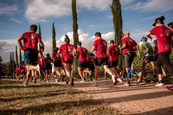 DF recebe experiência inédita na Expovitis Brasil: a Corrida do Vinho