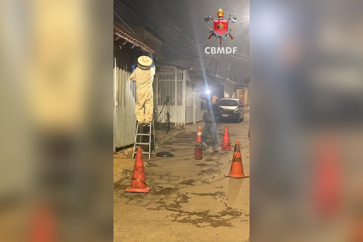 Corpo de Bombeiros foi acionado por moradora, após um enxame de abelhas invadir a casa Corpo de Bombeiros foi acionado por moradora, após um enxame de abelhas invadir a casa