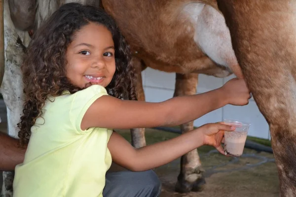 Menina ordenhando vaca