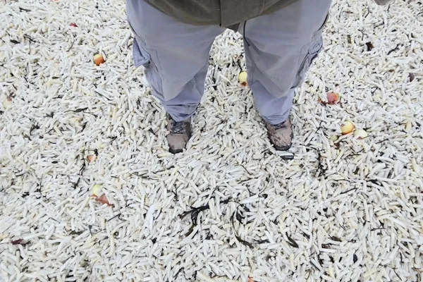 praia no sul da Inglaterra coberta com batatas fritas congeladas