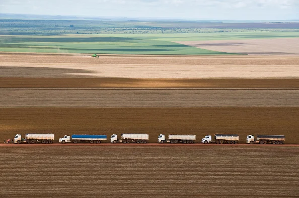 Imagem do agronegócio no Mato Grosso