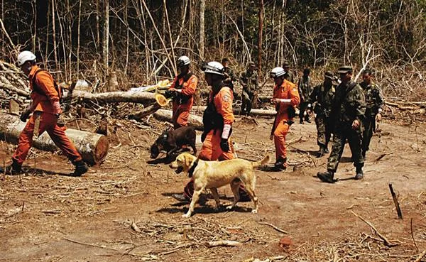 Custo para manter cães dos bombeiros aumenta 300% em um ano no DF