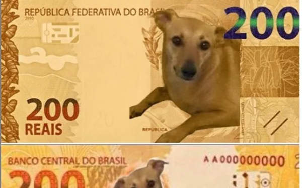 Deputado faz campanha para vira-lata caramelo estampar nota de R$ 200
