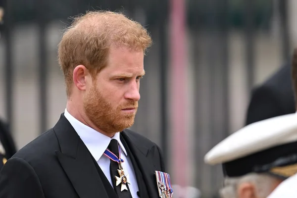 Rei se arrependerá de humilhar Harry no funeral da rainha, diz expert