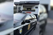 Polícia Civil deflagrou operação contra furto de gado no interior de SP