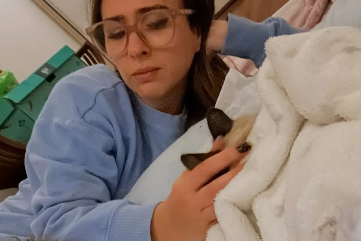 Tatá Werneck e o gato Chico Tatá Werneck e o gato Chico