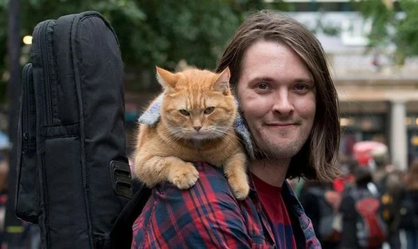 História de amizade entre um gato e um morador de rua vira filme