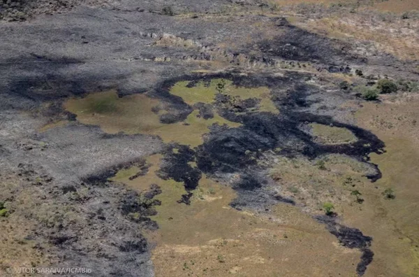 imagem colorida incendio chapada dos veadeiros