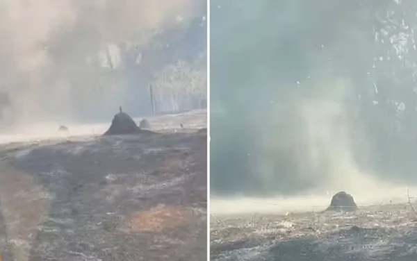 imagem colorida redemoinho de cinzas