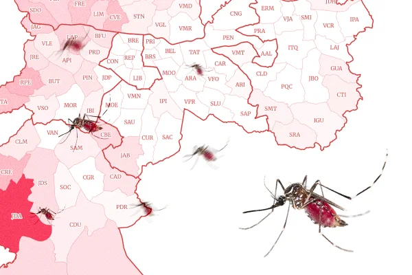 Imagem colorida do mapa da cidade de SP com mosquitos da dengue ao lado